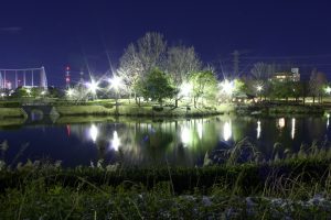 落合公園　落合池　夜景　ライトアップ　リフレクション　愛知県春日井市の観光・撮影スポットの画像と写真