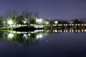落合公園　落合池　夜景　ライトアップ　リフレクション　愛知県春日井市の観光・撮影スポットの画像と写真
