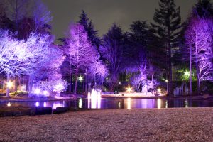 久屋大通公園フラリエ　ライトアップ　イルミネーション　名古屋市中区の観光・撮影スポットの画像と写真　　