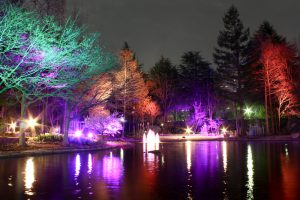 久屋大通公園フラリエ　ライトアップ　イルミネーション　名古屋市中区の観光・撮影スポットの画像と写真　　