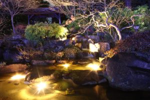 久屋大通公園フラリエ　ライトアップ　イルミネーション　名古屋市中区の観光・撮影スポットの画像と写真　　