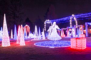 久屋大通公園フラリエ　女神様　イルミネーション　名古屋市中区の観光・撮影スポットの画像と写真