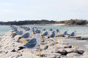 佐久島　アートの町　カモメの駐車場　愛知県西尾市佐久島の観光・撮影スポットの写真や画像