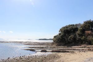 佐久島　アートの町　珍蒔（ちんまき）海岸　愛知県西尾市佐久島の観光・撮影スポットの写真や画像
