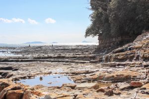佐久島　アートの町　珍蒔（ちんまき）海岸　愛知県西尾市佐久島の観光・撮影スポットの写真や画像