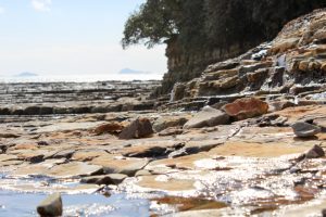 佐久島　アートの町　珍蒔（ちんまき）海岸　愛知県西尾市佐久島の観光・撮影スポットの写真や画像