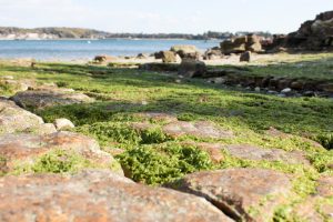 佐久島　アートの町　大明神（海岸）　愛知県西尾市佐久島の観光・撮影スポットの写真や画像