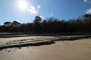 佐久島　アートの町　大明神（海岸）　愛知県西尾市佐久島の観光・撮影スポットの写真や画像