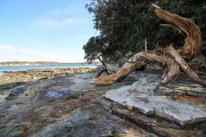 佐久島　アートの町　大明神（海岸）　愛知県西尾市佐久島の観光・撮影スポットの写真や画像