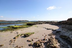 佐久島　アートの町　大明神（海岸）　愛知県西尾市佐久島の観光・撮影スポットの写真や画像