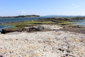 佐久島　アートの町　大明神（海岸）　愛知県西尾市佐久島の観光・撮影スポットの写真や画像