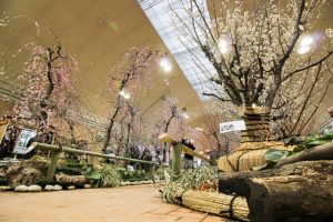 名城公園　フラワープラザ　梅まつり　名古屋市北区の観光・撮影スポットの画像と写真
