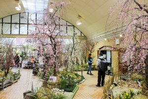 名城公園　フラワープラザ　梅まつり　名古屋市北区の観光・撮影スポットの画像と写真