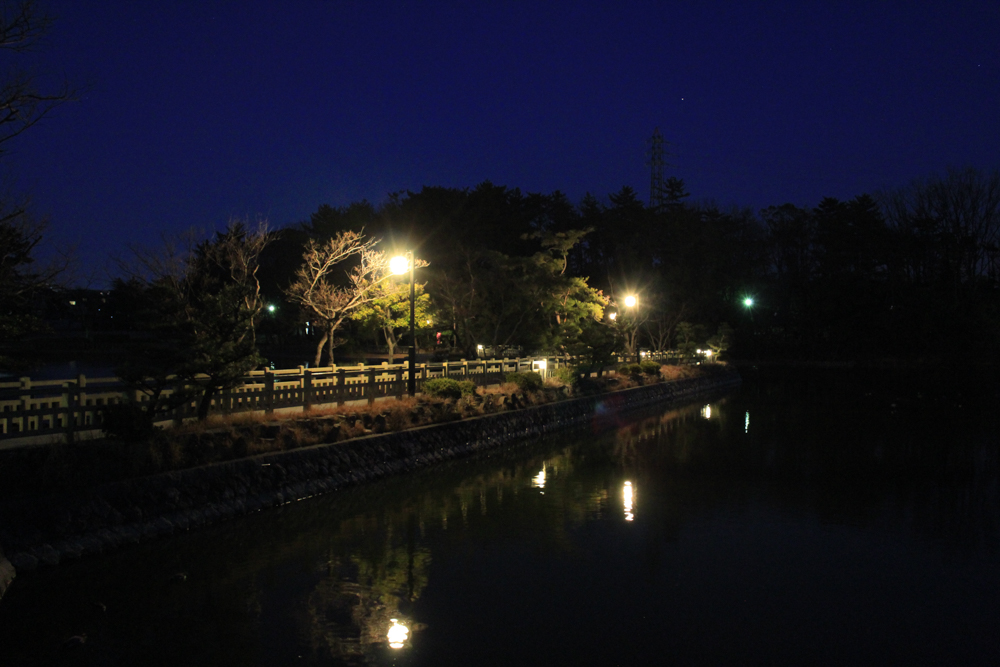 岡崎南公園　ライトアップ　愛知県岡崎市の観光・撮影スポットの写真と画像