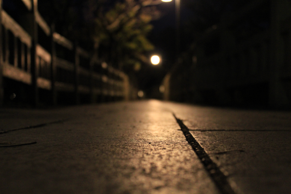 岡崎南公園　松と橋の夜景　ライトアップ　愛知県岡崎市の観光・撮影スポットの写真と画像