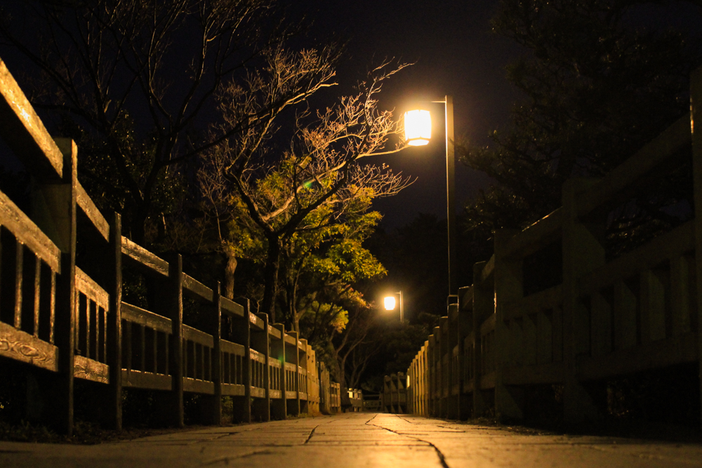 岡崎南公園　松と橋の夜景　ライトアップ　愛知県岡崎市の観光・撮影スポットの写真と画像