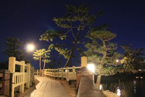 岡崎南公園　松と橋の夜景　ライトアップ　愛知県岡崎市の観光・撮影スポットの写真と画像