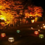 岩屋堂公園　紅葉祭り　ライトアップ　リフレクション　映り込み　愛知県瀬戸市の観光・撮影スポットの画像と写真