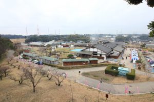 佐布里池の梅まつり　佐布里緑と花のふれあい公園（3月）梅林　愛知県知多市の観光・撮影スポットの画像と写真