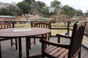 佐布里池の梅まつり　佐布里緑と花のふれあい公園（3月）梅林　愛知県知多市の観光・撮影スポットの画像と写真