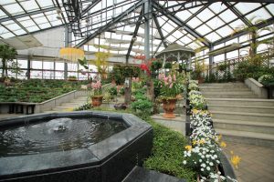 佐布里池の梅まつり　佐布里緑と花のふれあい公園（3月）梅林　愛知県知多市の観光・撮影スポットの画像と写真
