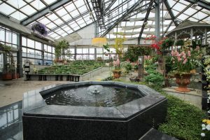 佐布里池の梅まつり　佐布里緑と花のふれあい公園（3月）梅林　愛知県知多市の観光・撮影スポットの画像と写真