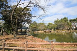 志賀公園（３月）日本庭園　園内の池　　名古屋市北区の観光・撮影スポットの画像と写真　