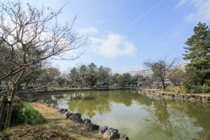 志賀公園（３月）日本庭園　園内の池　　名古屋市北区の観光・撮影スポットの画像と写真　