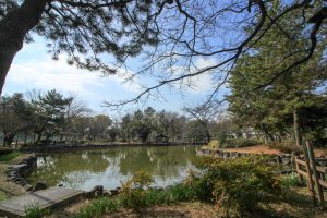 志賀公園（３月）日本庭園　園内の池　　名古屋市北区の観光・撮影スポットの画像と写真　