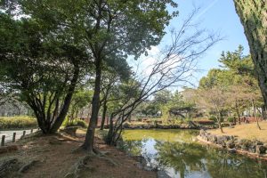 志賀公園（３月）日本庭園　園内の池　　名古屋市北区の観光・撮影スポットの画像と写真　