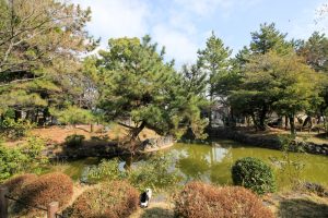 志賀公園（３月）日本庭園　園内の池　　名古屋市北区の観光・撮影スポットの画像と写真　