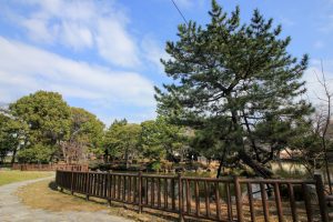 志賀公園（３月）日本庭園　園内の池　　名古屋市北区の観光・撮影スポットの画像と写真　