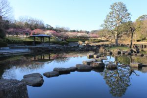 大高緑地公園（3月）梅まつり　名古屋市緑区の観光・撮影スポットの画像と写真