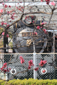 岐阜梅林公園、２月の春の花、岐阜県岐阜市の観光・撮影スポットの名所