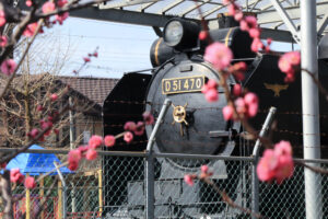 岐阜梅林公園、２月の春の花、岐阜県岐阜市の観光・撮影スポットの名所