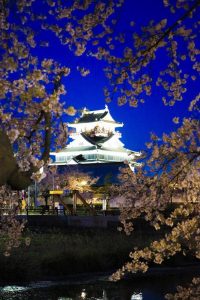 清州城　桜まつり（4月）愛知県清須市の観光・撮影スポットの画像や風景