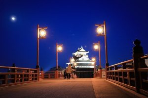清州城、桜、3月の春の花、愛知県清須市の観光・撮影スポットの画像と写真