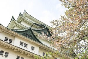 名古屋城　桜　3月　春の花　名古屋市中区の観光・撮影スポットの画像と写真