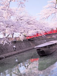 船町公園・奥の細道むすびの地記念館　桜まつり　（4月）　大垣船町川湊　岐阜県大垣市の観光・撮影スポットの画像や写真