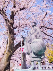 船町公園・奥の細道むすびの地記念館　桜まつり　（4月）　大垣船町川湊　岐阜県大垣市の観光・撮影スポットの画像や写真