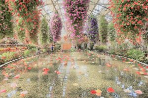 なばなの里　ベゴニアガーデン　4月　三重県桑名市の観光・撮影スポットの画像と写真