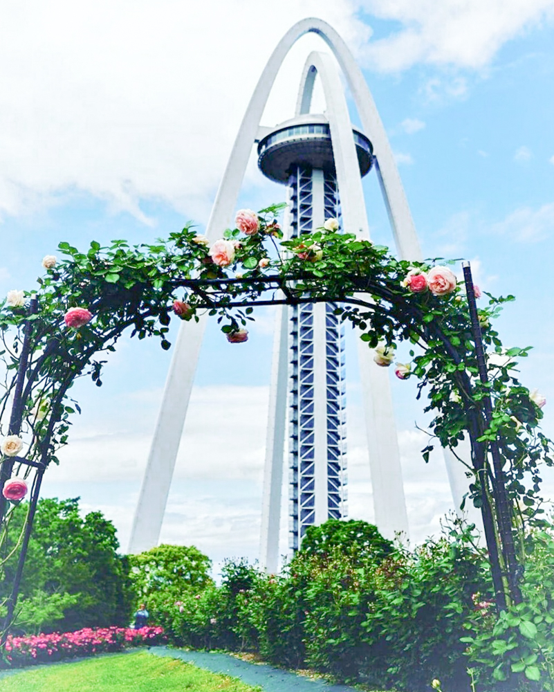 138タワーパーク、バラ、5月の夏の花、愛知県一宮市の観光・撮影スポットの画像と写真