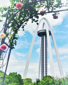 138タワーパーク、バラ、5月の夏の花、愛知県一宮市の観光・撮影スポットの画像と写真