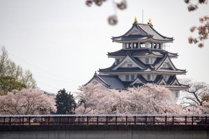 墨俣一夜城　桜まつり　3月　4月　岐阜県大垣市の観光・撮影スポットの画像と写真墨俣一夜城　桜まつり　3月　4月　岐阜県大垣市の観光・撮影スポットの画像と写真
