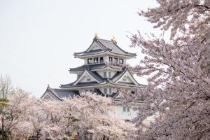 墨俣一夜城　桜まつり　3月　4月　岐阜県大垣市の観光・撮影スポットの画像と写真