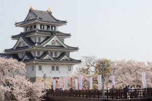 墨俣一夜城　桜まつり　3月　4月　岐阜県大垣市の観光・撮影スポットの画像と写真