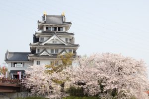 墨俣一夜城　桜まつり　3月　4月　岐阜県大垣市の観光・撮影スポットの画像と写真