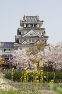 墨俣一夜城　桜まつり　3月　4月　岐阜県大垣市の観光・撮影スポットの画像と写真