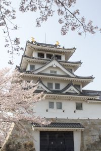 墨俣一夜城　桜まつり　3月　4月　岐阜県大垣市の観光・撮影スポットの画像と写真
