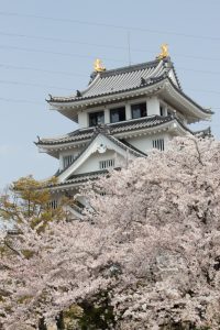 墨俣一夜城　桜まつり　3月　4月　岐阜県大垣市の観光・撮影スポットの画像と写真